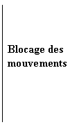 Zone de Texte: Blocage des mouvements
